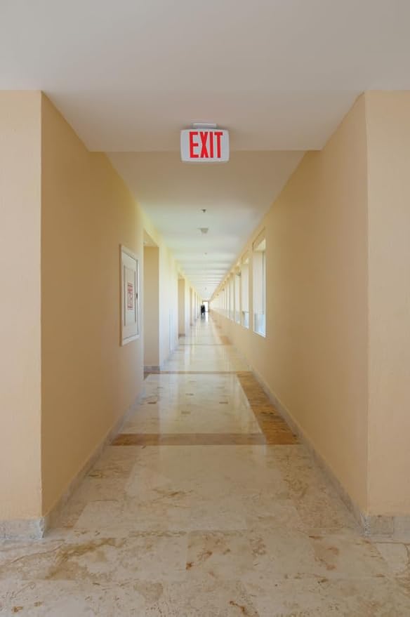 Lithonia Lighting Single-Sided LED Exit Sign, Thermoplastic Construction, Switchable Red and Green Colors, Ni-MH Backup Battery, Includes Extra Faceplate, White (EXRG EL M6)