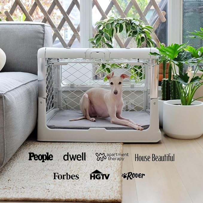 DIGGS Revol Collapsible Dog Crate with Wheels - Premium Portable Dog Crate - Safe, Stylish, and Convenient Indoor Kennel (Ash, Small)