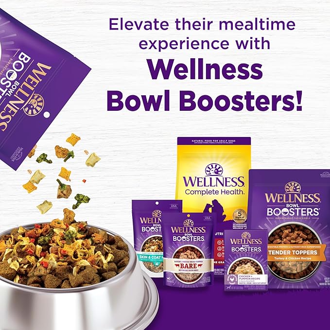 Wellness Complete Health Dry Dog Food with Grains, Made in USA with Real Meat & Natural Ingredients, All Breeds, Adult Dogs (Chicken & Oatmeal, 30-lb) – With Nutrients for Immune, Skin, & Coat Support