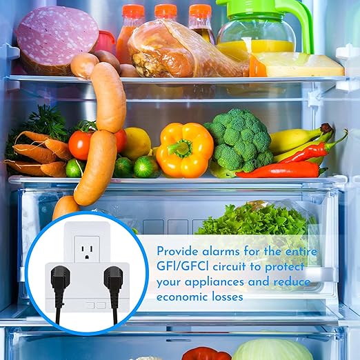 Power Failure Alarm with 2 Socket,80-110dB Adjustable Freezer Alarm with 4 Siren,Power Loss Alert with LED Indicator,Blackout Alert for GFI/GFCI Trips,Refrigerator,Aquarium Air Pump
