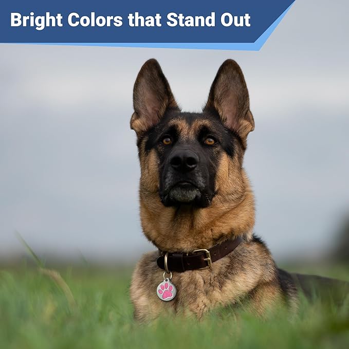 GoTags Paw Print Round Stainless Steel Pet Tag for Dogs and Cats, Personalized with 4 Lines of Custom Engraved ID Name and Number, in Stainless Steel and 15 Colors Small and Large, Glitter Light Blue