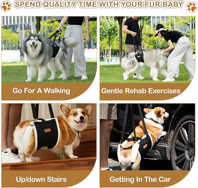 Dog Lift Harness Sling for Medium Dogs - Adjustable No-Slip Rear Leg Support with Padding & Back Fixed Buckle, Hip Dysplasia/ACL/TPLO Surgery Recovery Aid, Dog Sling for Injured,Disabled/Senior Dogs