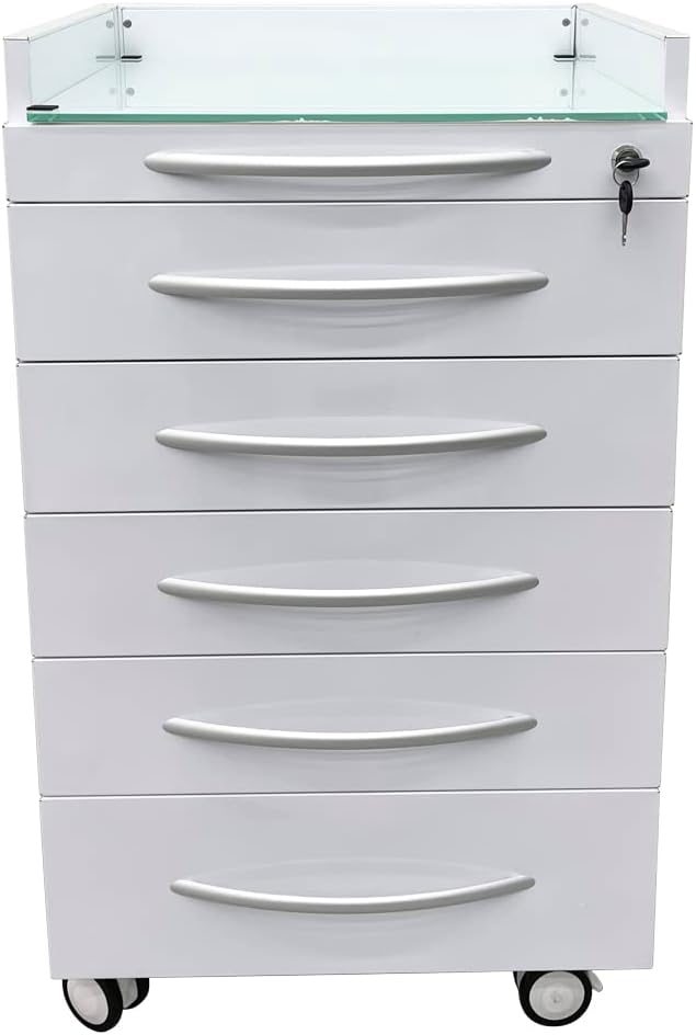 5 Drawer Dental Assistant's Mobile Cabinet Mobile Utility Storage Cart Office File Storage Cart Stainless Steel Moving Side Cabinet with Lock Wheels for Dental Medical Office Home