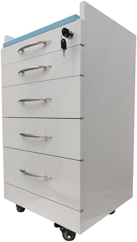 4 Drawer Dental Assistant's Mobile Cabinet Office File Storage Cart Mobile Utility Storage Cart Stainless Steel Moving Side Cabinet with 2 Pallets Lock Wheels for Dental Medical Office