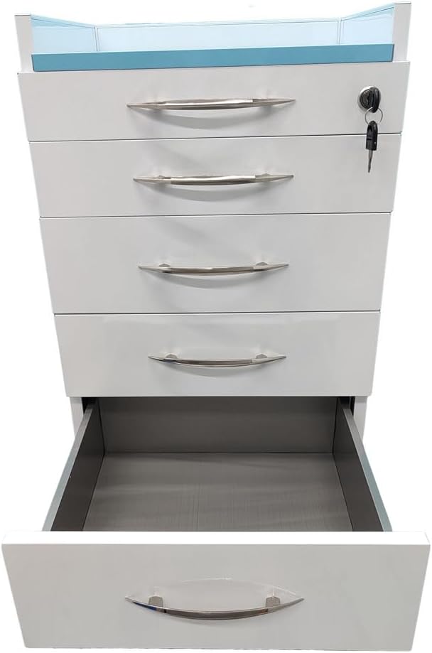 INTSUPERMAI 4 Drawer Mobile Storage Cabinet Stainless Steel Movable Utility Cart Dental Assistant's Mobile Cabinet File Storage Dresser with Wheels Self Priming Orbit