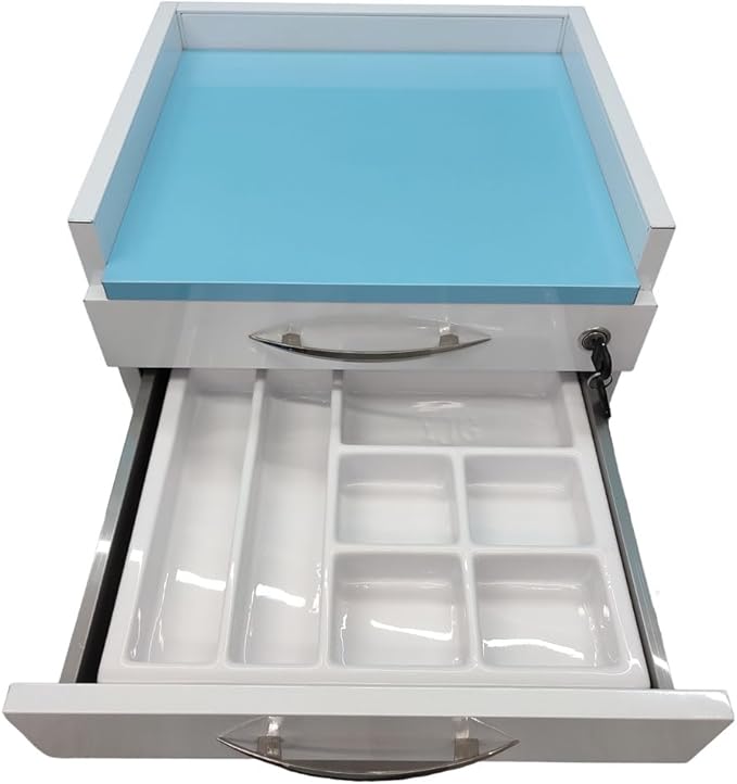 4 Drawer Dental Assistant's Mobile Cabinet Office File Storage Cart Mobile Utility Storage Cart Stainless Steel Moving Side Cabinet with 2 Pallets Lock Wheels for Dental Medical Office
