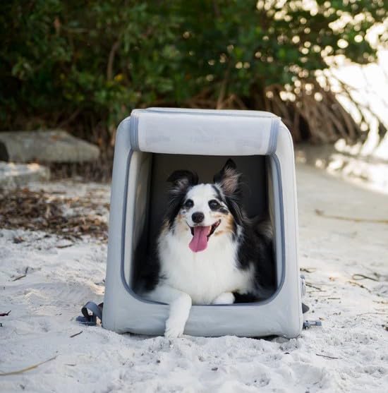 Diggs Enventur Small Inflatable Travel Dog Crate – Ultra-Light & Portable Dog Crate – Puncture-Resistant, Waterproof, Compact – Safe, Durable for Adventures & Travel - 27" L x 18" W x 20" H (Grey)