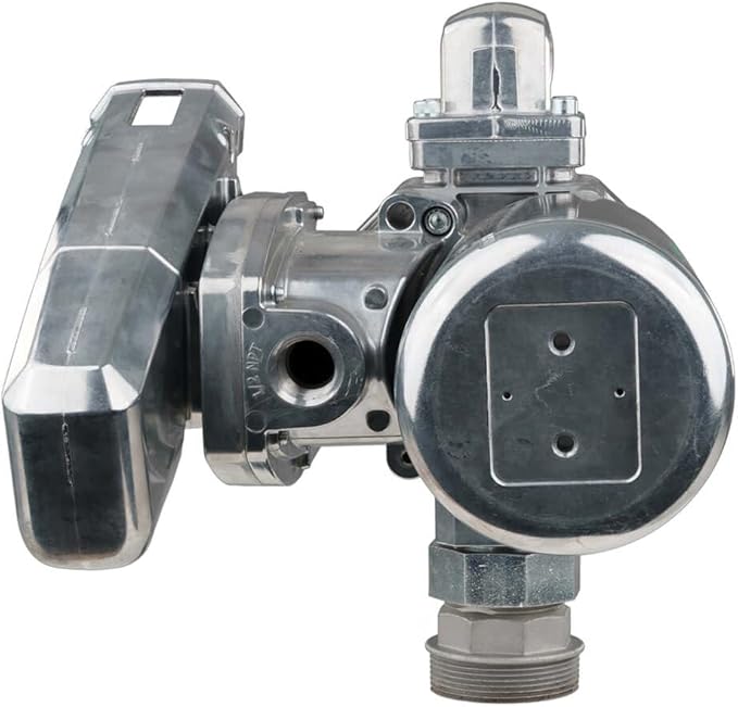 GPI - G20 Fuel Transfer Pump, Pump Only, 20 GPM, 12 Volt (162000-01)