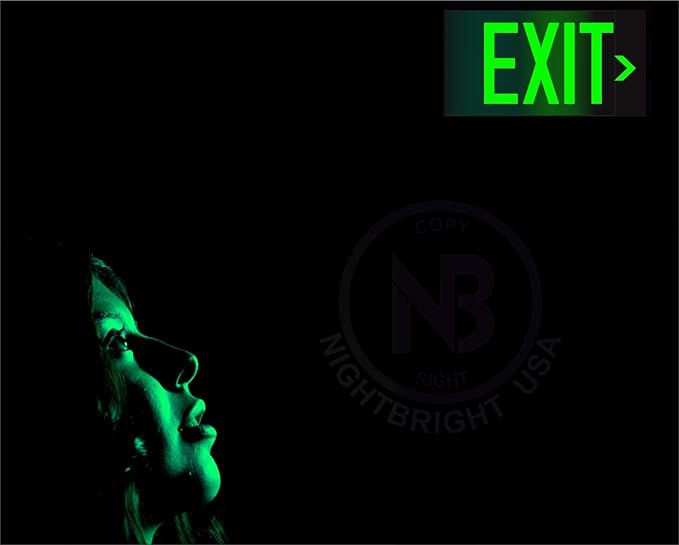 Photoluminescent Exit Sign Green W/Holes and Hardware - Code Approved Aluminum UL 924 / IBC / NFPA 101 (Directional Arrows Included)