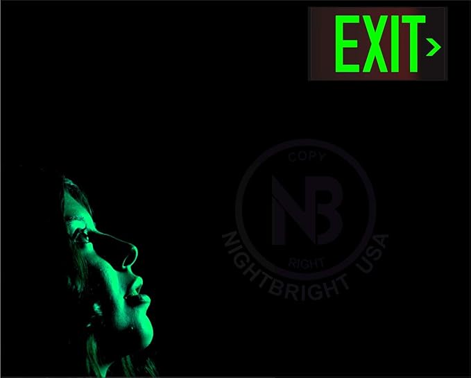 Photoluminescent Exit Sign Red - Pack of 2 - Aluminum - UL 924 Code Approved/IBC/NFPA 101 / NightBright USA Part Number ULR-050 II