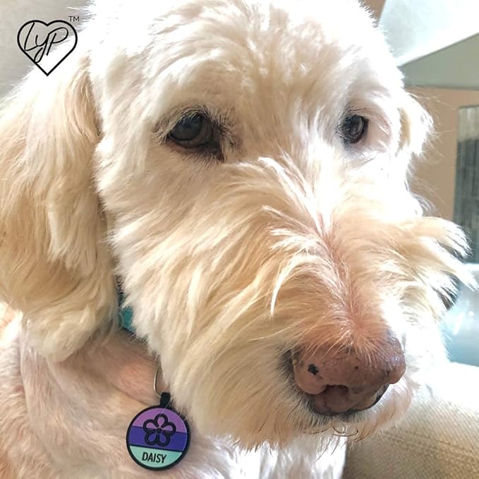 LYP Original Soundless Pet ID Tags | Custom Dog Tags Personalized for Pets | Durable Silicone Deep Engraved Dog Tag | No More Jingling | Purple Paw