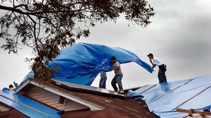 5 in a Pack, Maximize Value, Minimize Cost, Multipack Advantage with Budget-Friendly Poly Tarps, 2.5 Mil Cheap Large Light Tarp, Multipurpose Waterproof Protective Cover, 6x8 Feet, Blue