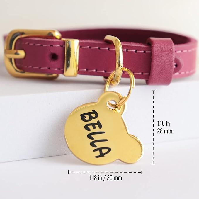 Custom Pet ID Tag, Personalized Engraved Stainless Steel Boy & Girl Pets Identification Tags, Emergency Lost Dog Tags, Cute Puppies Tag with Phone Number