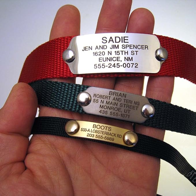 LuckyPet Rivet-On Pet ID Tag - Personalized, Silent and Customized - Suitable for Cats and Dogs - Heavy-Duty Pet Identification - Engraved Tags - Small, Polished Brass Finish