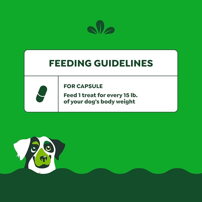Greenies Pill Pockets for Dogs Large Size, Soft Dog Treats, Hickory Smoke Flavor, (6) 7.9 oz. Pouches (180 Treats Total)