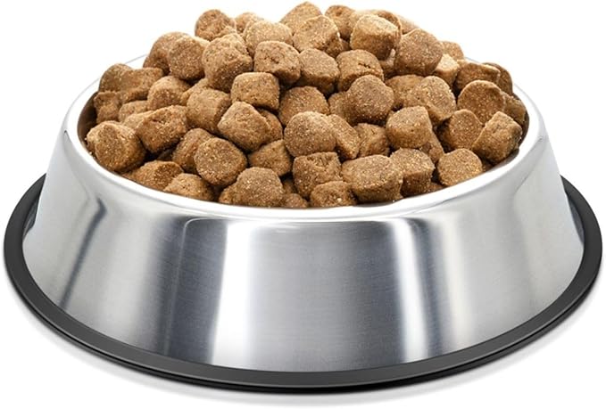 Flexzion Stainless Steel Dog Bowl (2.2 Cup/18oz) - Non Spill Water and Food Stainless Steel Pet Bowls Dish Feeder with Anti-Slip Rubber Base for Medium Sized Dog, Cat, Rabbit, and More