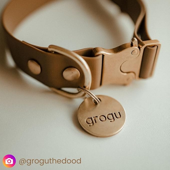 Solid Brass PET TAG - Modern, Minimal Pet IDs. Durable, Lifetime Tags with deep Cut Text. Includes Space for Two Phone Numbers. (Arch Mini)