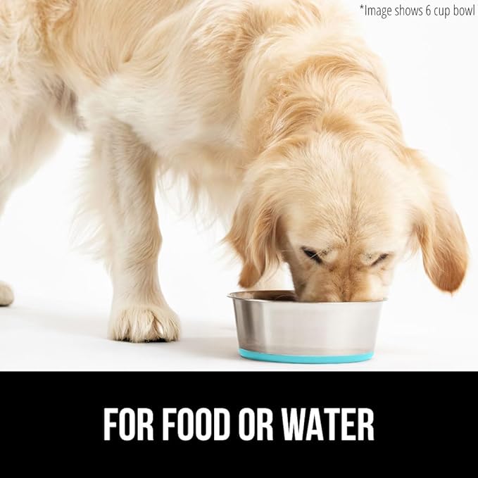 GORILLA GRIP Dog Bowls, Holds 2 Cups Each (16 fl oz), Heavy Duty Stainless Steel Food and Water Bowl for Feeding Dogs and Cats, Dishwasher Safe, Rust Resistant BPA Free Rubber Base, Set of 2 Turquoise