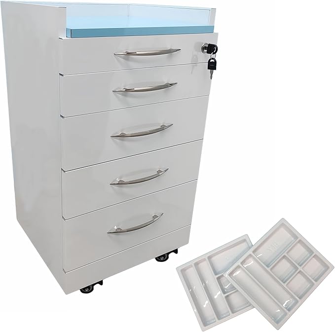 INTSUPERMAI 4 Drawer Mobile Storage Cabinet Stainless Steel Movable Utility Cart Dental Assistant's Mobile Cabinet File Storage Dresser with Wheels Self Priming Orbit