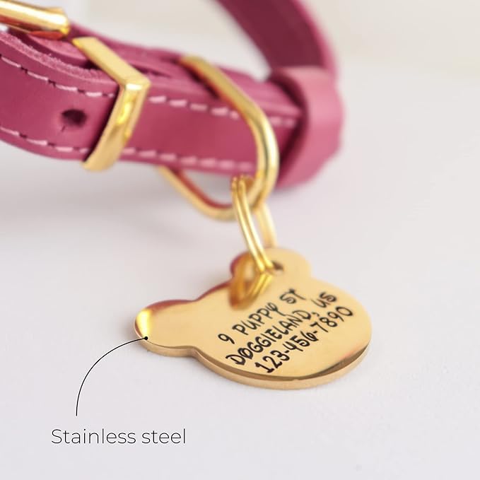 Custom Pet ID Tag, Personalized Engraved Stainless Steel Boy & Girl Pets Identification Tags, Emergency Lost Dog Tags, Cute Puppies Tag with Phone Number