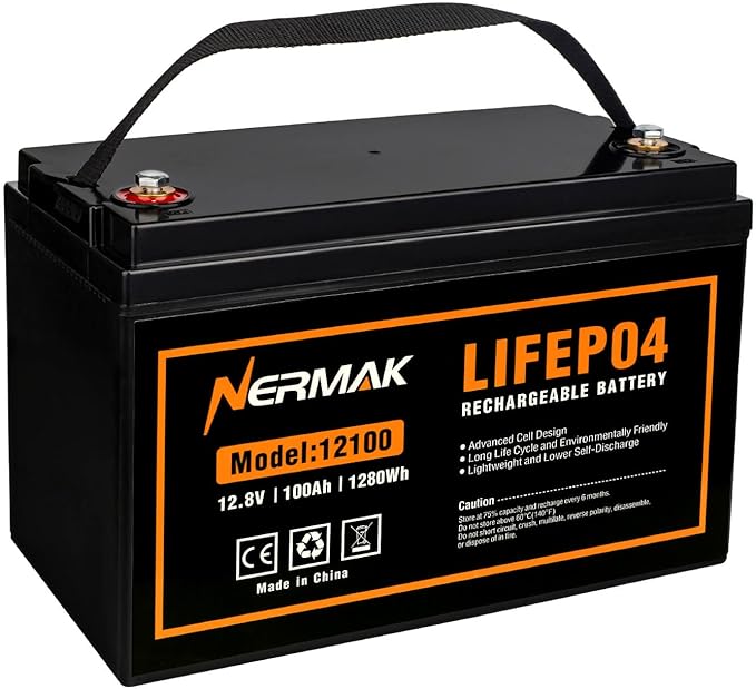 12V 100Ah Lithium LiFePO4 Deep Cycle Battery, 4000+ Cycles Lithium Iron Phosphate Rechargeable Battery for Solar, RV, Marine, Home Energy Storage, Off-Grid Applications Built-in 100A BMS