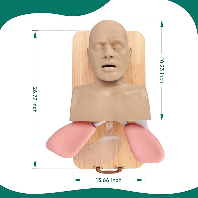 Adult Airway Management Trainer Kit, Intubation Manikin Head with Full-Featured Airway Simulation for EMS Training, Intubation & Ventilation