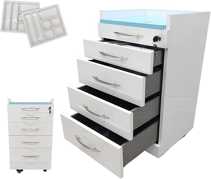 4 Drawer Dental Assistant's Mobile Cabinet Office File Storage Cart Mobile Utility Storage Cart Stainless Steel Moving Side Cabinet with 2 Pallets Lock Wheels for Dental Medical Office