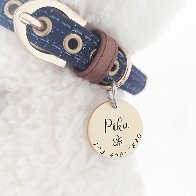 Cats Dogs ID Tags Personalized Lovely Symbols Pets Collar Name Accessories Simple Custom Engraved Products for Medium Four Legged Child Necklace Chain Anti-Lost Industrial Steel Charm