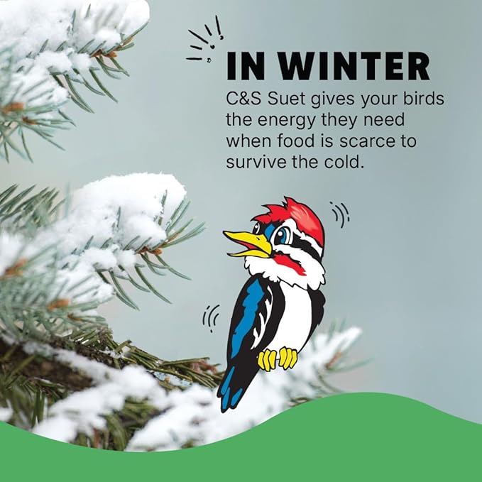 C&S Woodpecker Suet Treat, Outdoor Wild Bird Food for Woodpeckers, Flickers and More, 8 Pack
