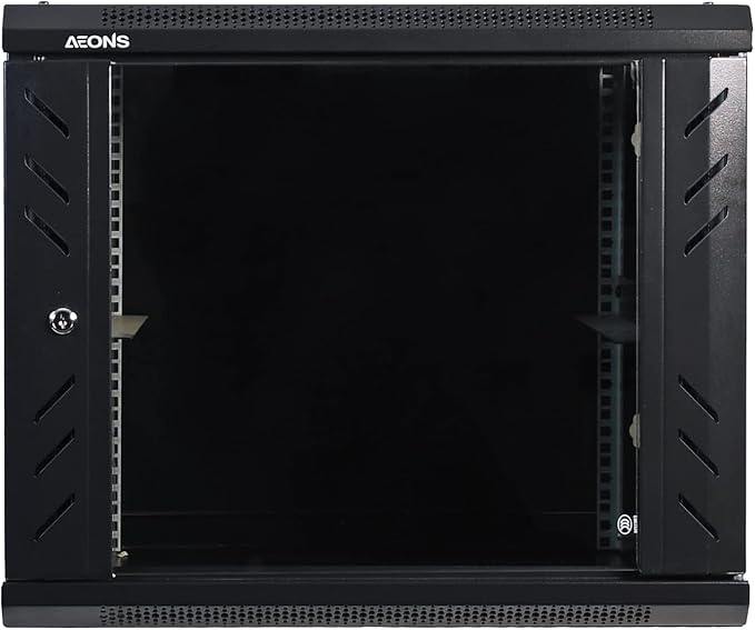 9U Professional Wall Mount Network Server Cabinet Enclosure 19-Inch Server Network Rack Low-Profile Black