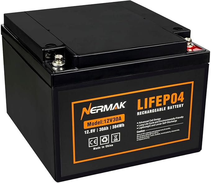12V 30Ah Lithium LiFePO4 Deep Cycle Battery, 2000+ Cycles Lithium Iron Phosphate Rechargeable Battery for Scooter, RV/Outdoor Camping, Marine, Electric Wheelchair and More, Built-in 30A BMS