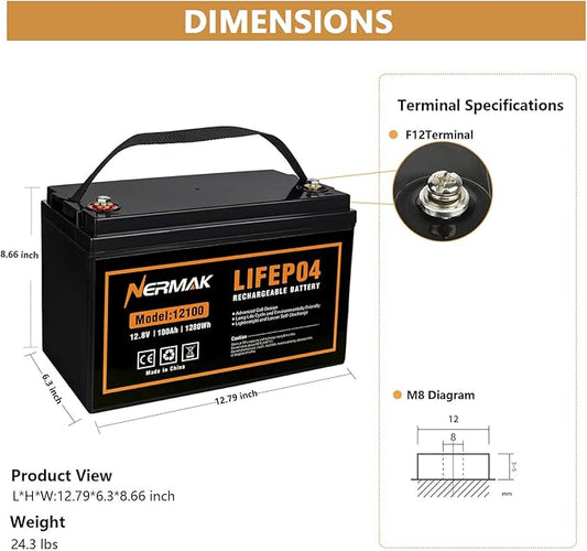12V 100Ah Lithium LiFePO4 Deep Cycle Battery, 4000+ Cycles Lithium Iron Phosphate Rechargeable Battery for Solar, RV, Marine, Home Energy Storage, Off-Grid Applications Built-in 100A BMS