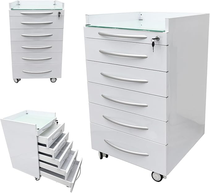 5 Drawer Dental Assistant's Mobile Cabinet Mobile Utility Storage Cart Office File Storage Cart Stainless Steel Moving Side Cabinet with Lock Wheels for Dental Medical Office Home