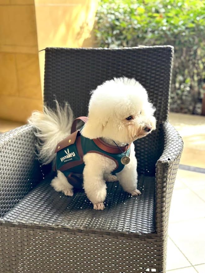 Dog Lift Harness Dog Carrier Dog VES Harness Adjustable Dog Leash with Small Puppy Treat Bag（Green,S）