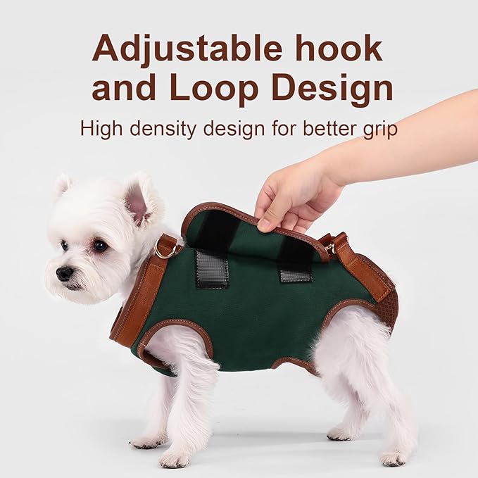 Dog Lift Harness Dog Carrier Dog VES Harness Adjustable Dog Leash with Small Puppy Treat Bag（Green,S）