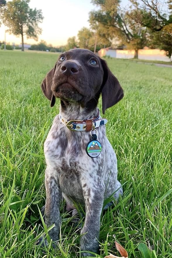 LYP Original Soundless Pet ID Tags | Custom Dog Tags Personalized for Pets | Durable Silicone Deep Engraved Dog Tag | No More Jingling | Mountain