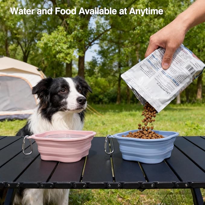 Collapsible Dog Bowls, 2-Pack Dog Water Bowl for Walking Parking Traveling Portable Pet Feeding Bowl, Travel Essentials for Cats and Dogs