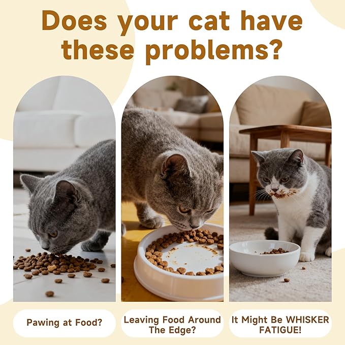 Mushroom Cat Bowl,Whisker Fatigue Cat Bowl,Cute Cat Bowls,Elevated Cat Food Bowl, Lead & Cadmium Free Ceramic Cat Bowls for Food and Water.(Black)