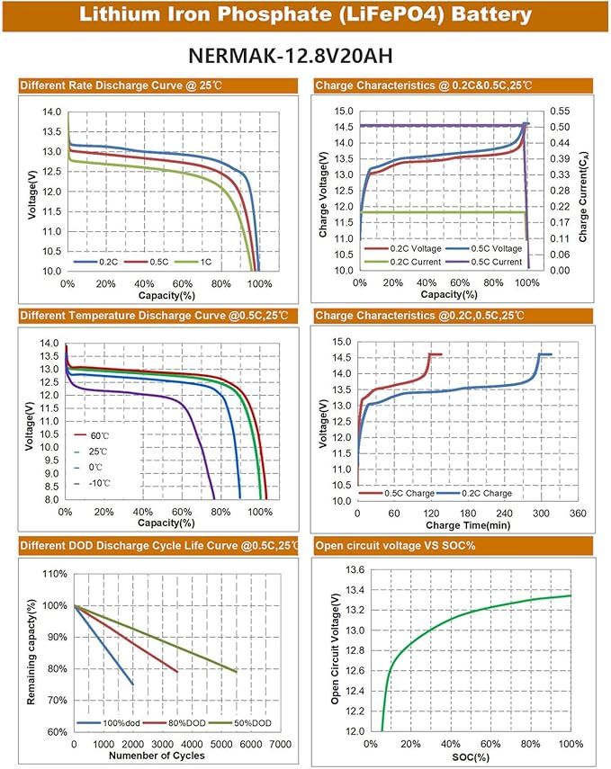 12V 20Ah Lithium LiFePO4 Deep Cycle Battery, 2000+ Cycles Lithium Iron Phosphate Rechargeable Battery for Solar Power, Lighting, Outdoor camping, Power Wheels, Fish Finder, Built-in 20A BMS