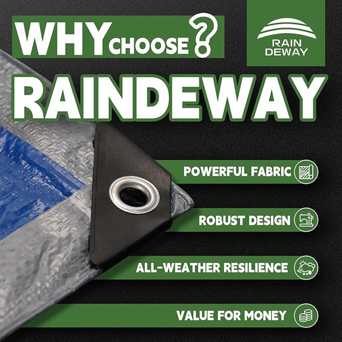 RAINDEWAY Tarps - 20x30 Feet, 5.5 Mil Thick, Multipurpose Waterproof Poly Tarp Cover with Metal Grommets and Reinforced Edges, Silver/Blue Large Tarp