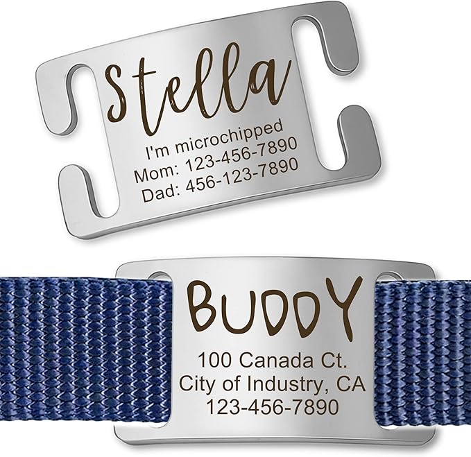 Anavia Slide On Silent Pet ID Tags, S/M/L/XL Personalized Gold Black Stainless Steel Customized Engraved Cat Dog Name Tags, Glossy Finish Chew-Proof Quiet Dog Collar Tag (Large, Silver)