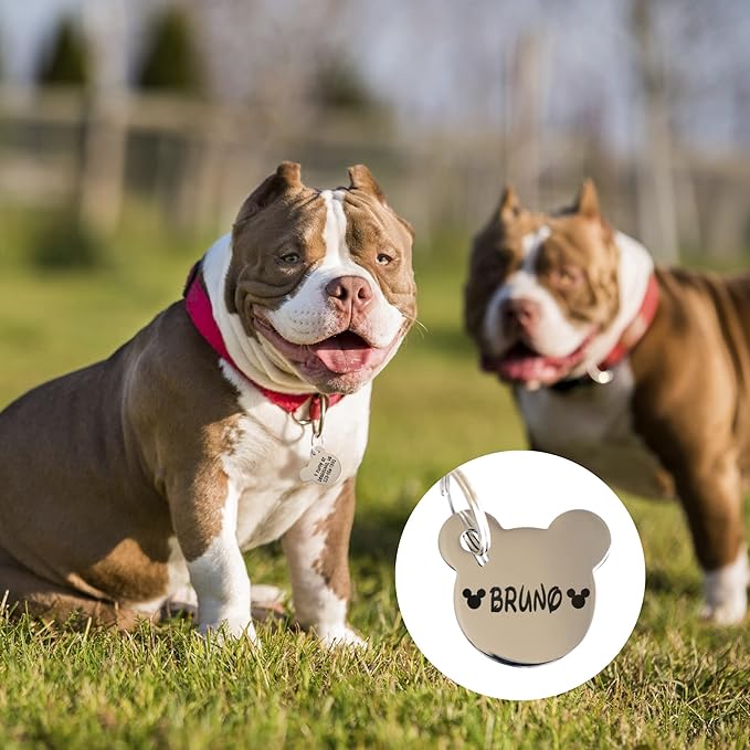 Custom Pet ID Tag, Personalized Engraved Stainless Steel Boy & Girl Pets Identification Tags, Emergency Lost Dog Tags, Cute Puppies Tag with Phone Number