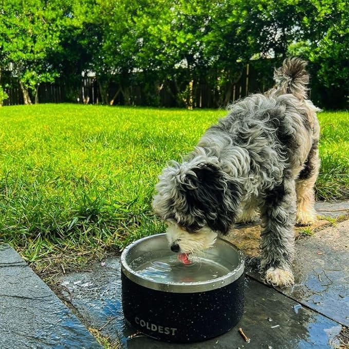 Coldest Dog Bowl - Anti Rust Metal, Non Slip, 3 Layers Insulated Stainless Steel Dog Bowls - Spill Proof & Heavy Duty - Water Bowl for Dogs, Cats & Pets, Dish Washer Safe (21 oz, Epic White)