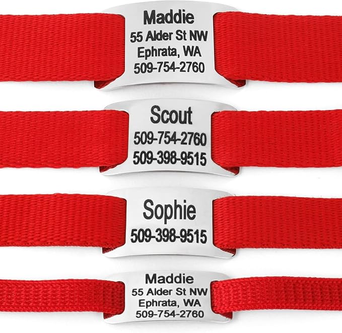 GoTags Slide-On Pet ID Tags, Curved Personalized Dog and Cat, Silent, No Noise Stainless Steel, Custom Engraved in 4 Sizes for Large and Small Pets, Blue
