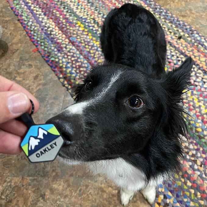 Silent Dog Tag Personalized with 5 Lines of Custom Deep Engraved Durable Soundless Silicone Pet ID Name Tag Hexagon Sunset Orange