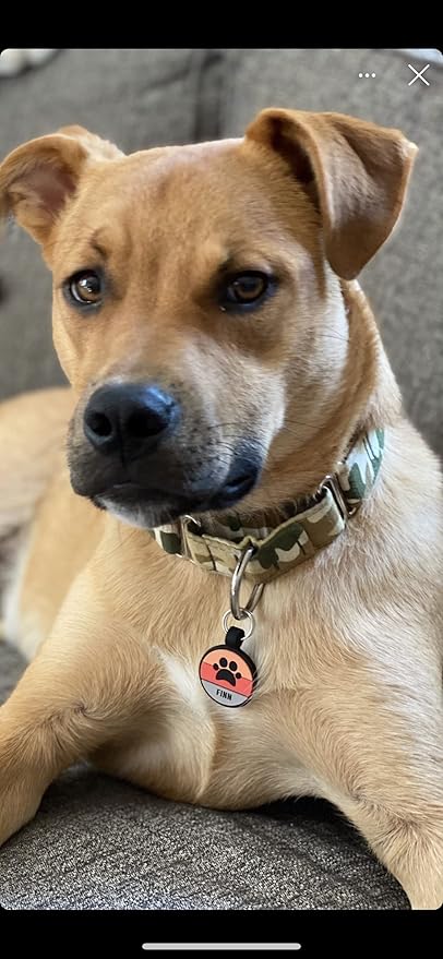 Love Your Pets - Our Original Soundless ID Tag For Pet Dog - Largest Line of Silicone No More Jingling -Durable - Never Fades - Customized Deep Engraved (Paw - Orange)