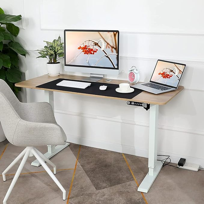 Electric Standing Adjustable Height Desk 48'' x 24''Sit Stand Desk with Charging Station, 2 USB Ports, 3 Power Outlets, 27''-46'' Lifting Range Computer Workstations(Oak)
