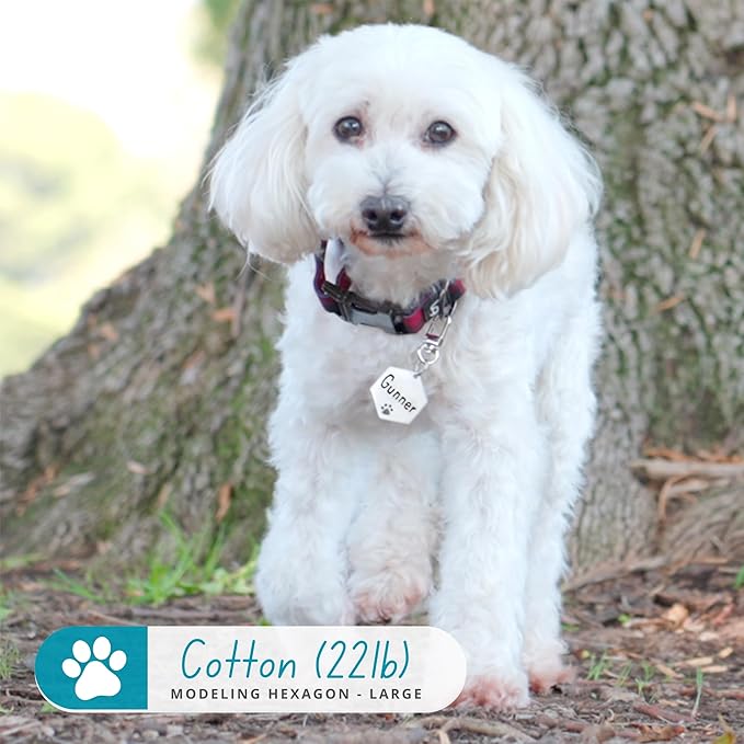 Ultra Joys Dog Tags Personalized for Pets - Hollow Paw Custom Pet ID Tag - Engraved Dog Tag for Small, Large Dogs - Small Hexagon in Rose