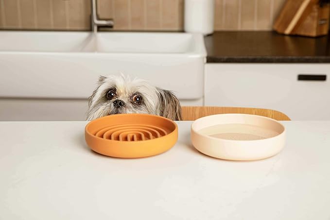 Should We Go? Dog Water Bowl - The Perfect Dish No-Spill, Less Mess Non-Tippable Water & Food Bowl, Pure Silicone with Suction Cup, Fits 2 Cups 6” Across x 1.25” Tall, Ideal for All Pets, Small-Sage