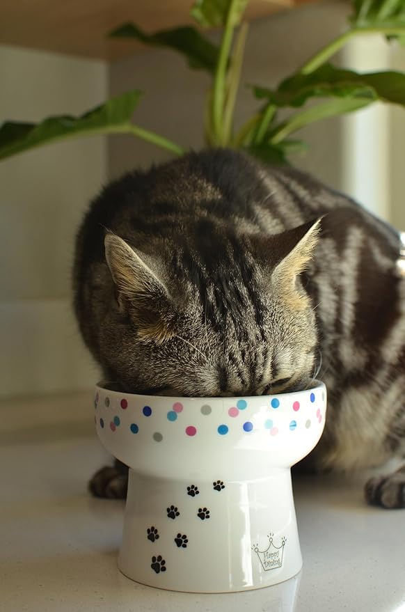 Necoichi Elevated Cat Water Bowl – Ceramic Raised Cat Bowl, Prevents Neck & Whisker Fatigue – Dishwasher & Microwave Safe – Pet Water Bowl for Cats (Colorful Dots, Extra Tall)